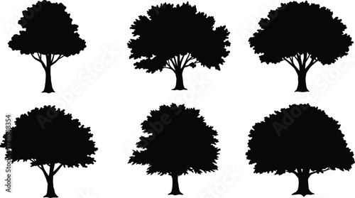 Tree silhouette collection, nature illustration with different leafy trees, black vector design, natural forest elements, botanical shapes for landscape art and environment projects