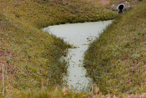 Overgrown ditch with algae bloom creeping through grassy banks outdoors