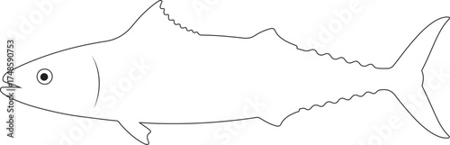 fish line art in vector 
