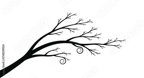 Elegant silhouette of a bare tree branch with delicate curls against a white background