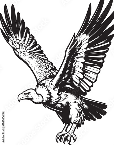closeup-whiterumped-vulture-flying-cloudy-sky vector line art