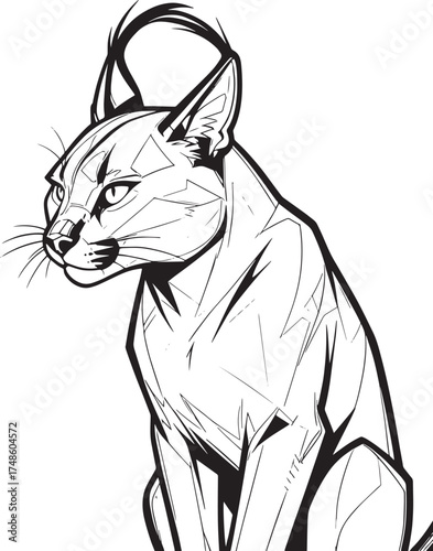 high-angle-view-animal vector line art