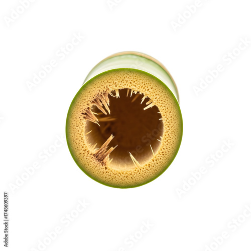 Fresh Bamboo Isolated on Transparent Background