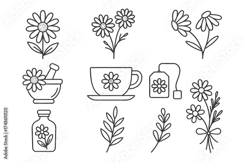 Herbal tea essentials: chamomile flowers, leaves, cup, and teabag