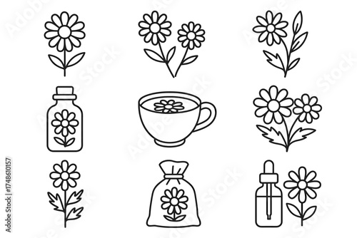 Chamomile symbols: tea, flowers, botanical products in line art