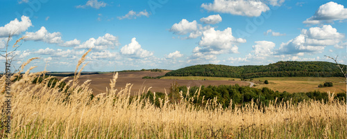 arable land hills, forests from dry yellow herbs in autumn under a bright blu...