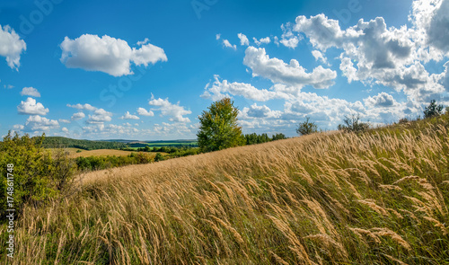 Panorama of autumn colors dry grasses, trees, fields and forest at horizon un...