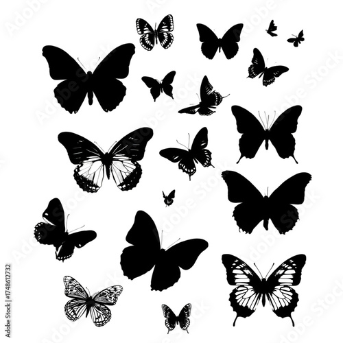 set of butterflies isolated
