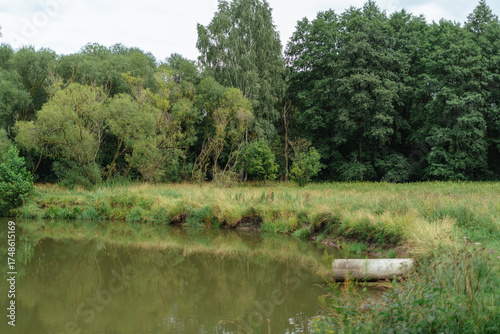 lake in the park