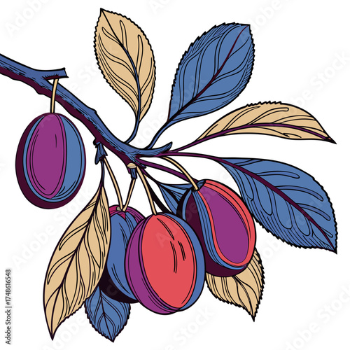 myers plum with leaves