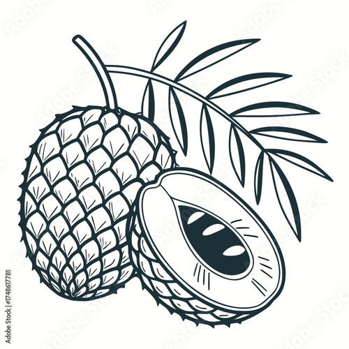 moriche palm fruit with leaf