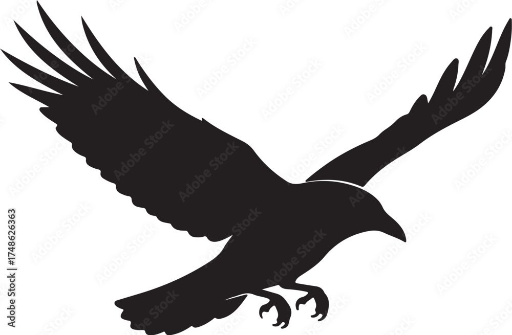 Obraz premium Black Silhouette of a Bird of Prey with Wings Spread in Flight on a White Background flying white background and transparent background