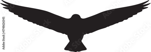Black silhouette of a bird of prey with wings fully extended in flight against a white background flying white background and transparent background