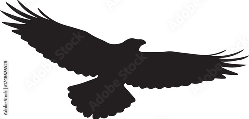 Silhouette of a bird of prey with wings spread wide in flight against a white background eagle hawk white background and transparent background