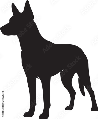 Silhouette of a standing dog with pointed ears and alert posture against a white background animal canine white background and transparent background