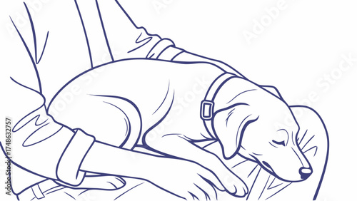 Resting Dog and Owner Illustration, Peaceful Home, Digital Art, Cozy Environment, Close View, Comfort Concept