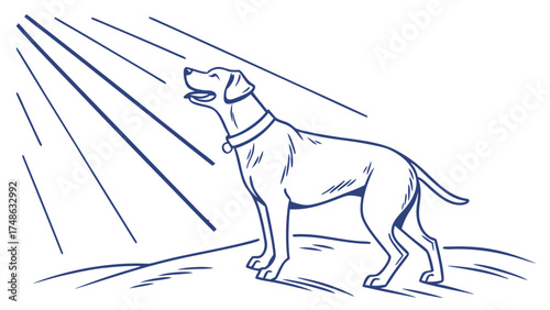 A Serene Nature Illustration with Sunlight Rays