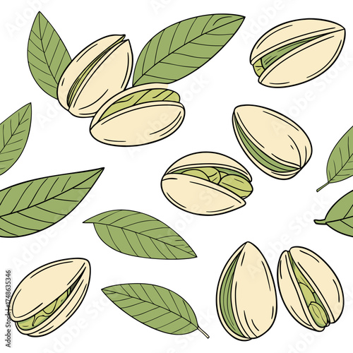 Pistachio nuts and leaves seamless pattern on white background for healthy snack or vegetarian food design with natural colors and hand drawn style