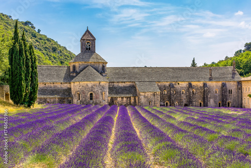 Scenic view of Senanque Abbey in Vaucluse in Provence south of France with lavender field in bloom