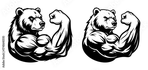 Vector art of two bears with muscular arms, a strong animal illustration of a bear