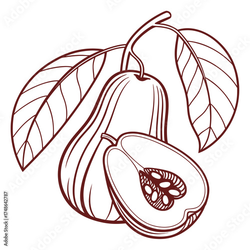 malay rose apple with leaves