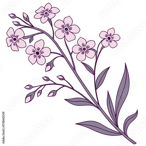 forget me not pink flowers with leaves