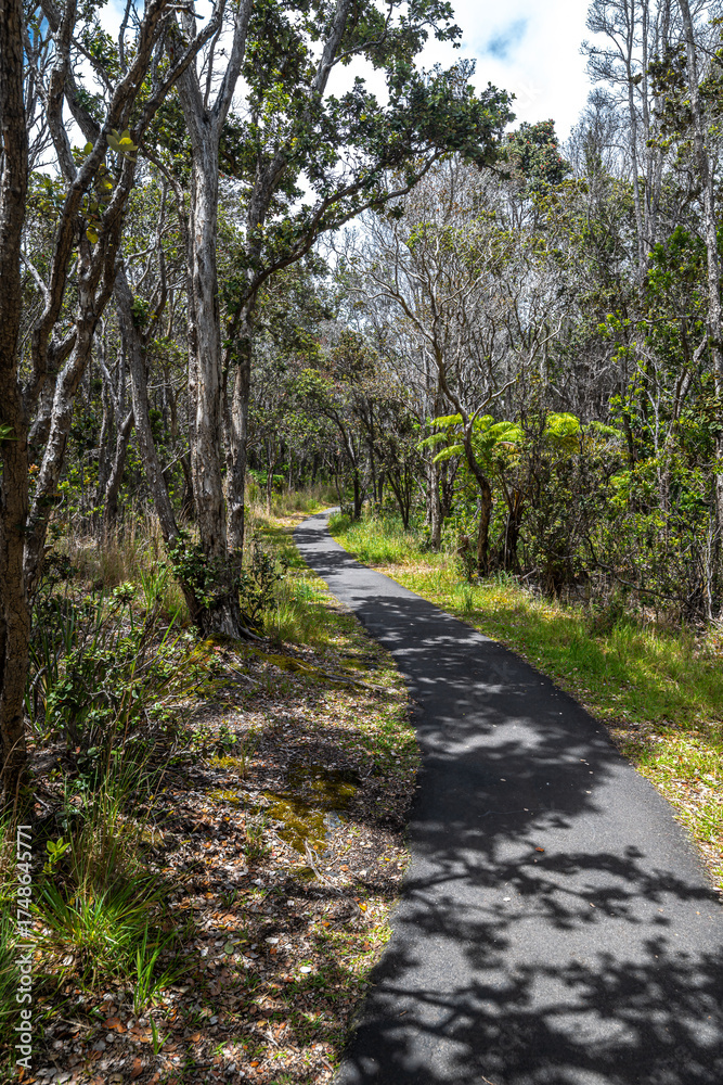 Naklejka premium Pu'upua'i Devastation Trail on Big Island, HI