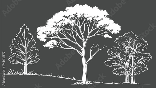 CAD Tree Line Minimal Style Vector Set of Outline Tree Symbols for Architecture and Landscape Design Drawing