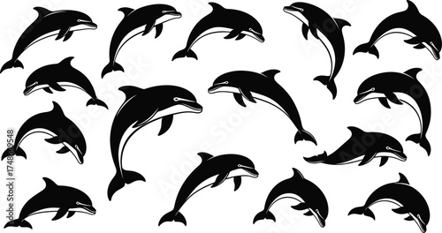 Collection of Dynamic Black and White Dolphin Silhouettes and Jumps - AI Generative