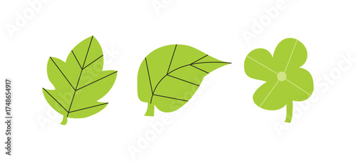 leaf pic.EPS