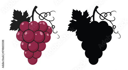 A colorful bunch of grapes and its black silhouette illustration