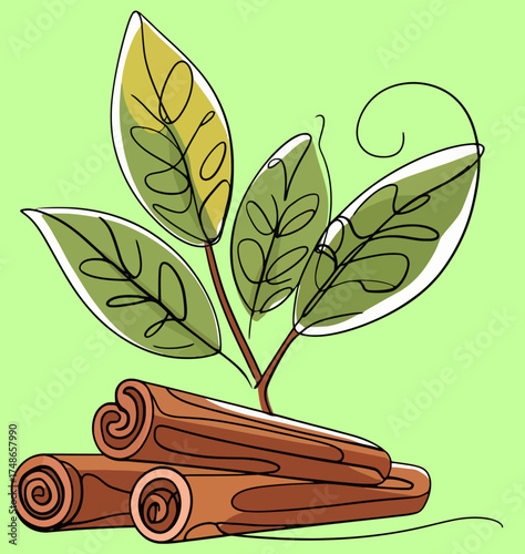 Ceylon cinnamon plant and stick roll line art