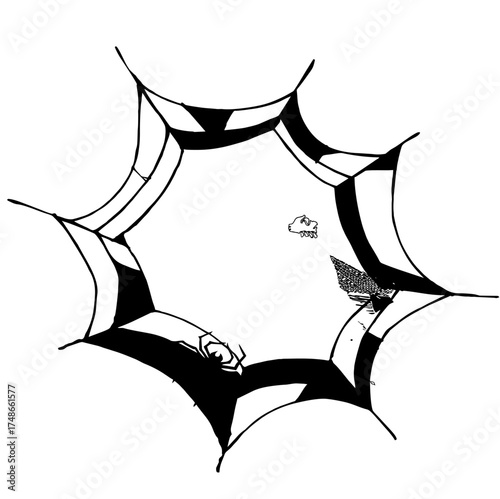 Black spider on a halloween web silhouette vector t-shirt design illustration icon