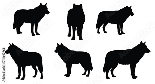 Silhouettes of wolves in various poses a wildlife illustration style