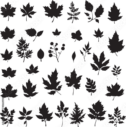 Botanical leaf vector set—black silhouette icons of maple, oak, fern, and berry branches in minimalist sketch style