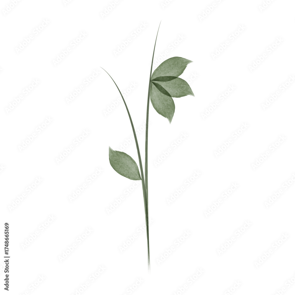 Obraz premium This is a simple watercolor drawing. A single stem is shown with leaves. The colors are shades of green, done in a watercolor style.