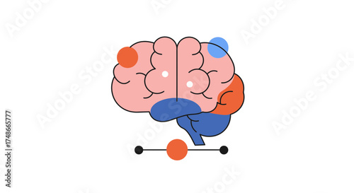 Explore the Mind: Human Brain Model for Science, Psychology, and Education – A Stunning Visual for Learning and Discovery of Neuroscience Concepts