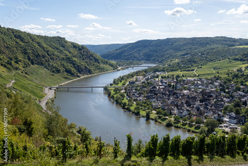 Foto Hilly vineyards near Kröv, view on loop of Moselle river valley, outdoor activit