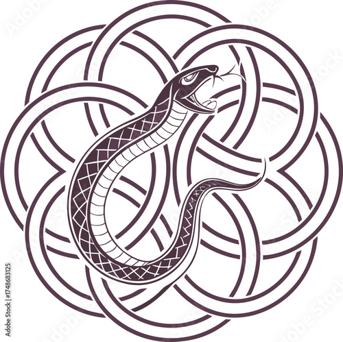 seamless pattern of snake coiled around a Celtic knot vector illustration for tattoo design vintage border designs