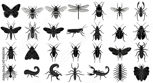 set of silhouettes of insects. Icon set of insects.