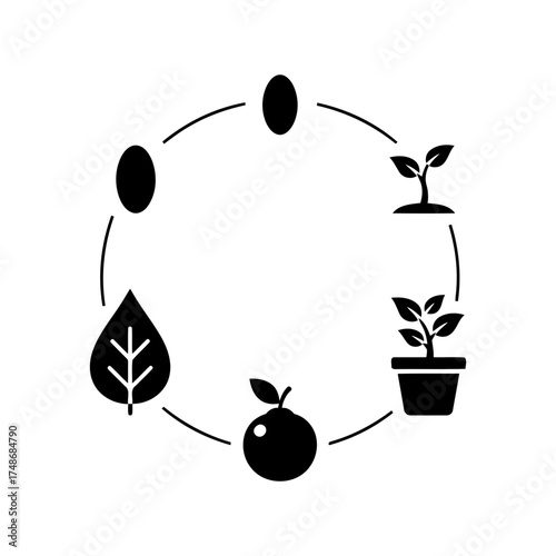 Weight loss diets vector art of life cycle of a plant, from seed to fruit and new plant