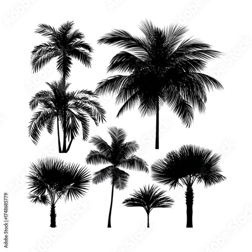 Set of seven isolated tropical palm tree silhouettes.