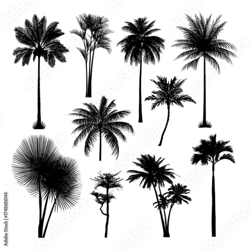 Diverse Collection of Black Palm Tree Silhouettes Isolated.