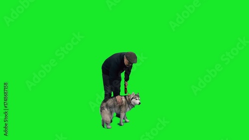 Middle adged man walks with husky dog on green chroma key background, 4k pre-keyed footage