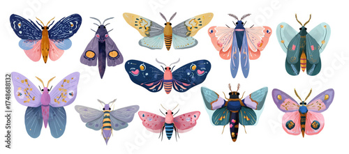 Artistic collection of celestial and whimsical moths and butterflies.