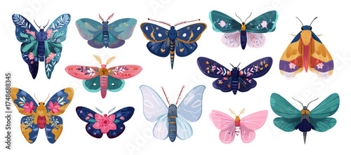Artistic set of twelve colorful butterfly and moth illustrations.