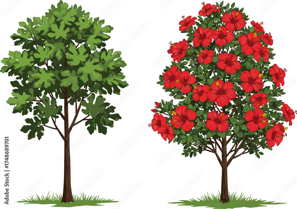 Fototapeta premium Green leafy tree and red flowering tree side by side, vibrant nature contrast, seasonal botanical beauty, expressive outdoor landscape scene