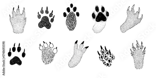 Set of various animal paw prints and footprints illustration.