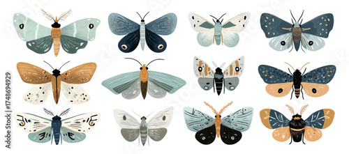 Beautifully illustrated collection of various moth and butterfly species.