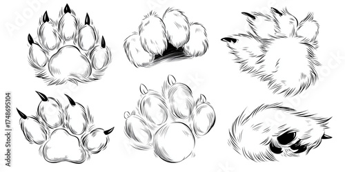 Set of hand-drawn animal paw sketches with sharp claws.